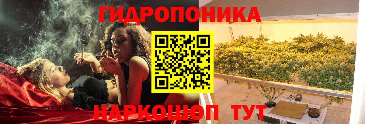 Каннабис марихуана  МАРИХУАНА White Widow  Осинники  Вход с VPN 